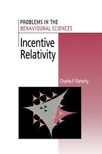 bokomslag Incentive Relativity