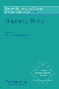 bokomslag Singularity Theory