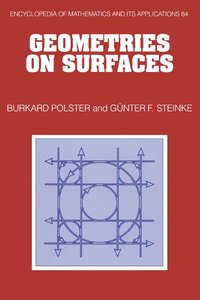 bokomslag Geometries on Surfaces