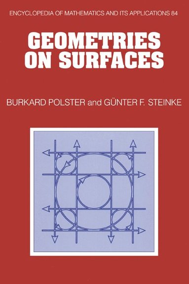 bokomslag Geometries on Surfaces