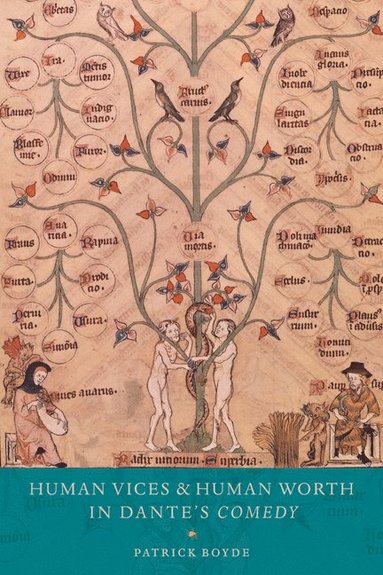 bokomslag Human Vices and Human Worth in Dante's Comedy