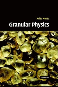 bokomslag Granular Physics