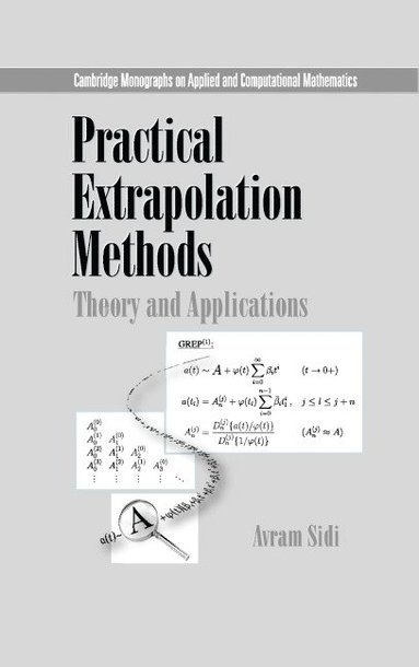 bokomslag Practical Extrapolation Methods