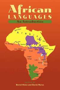 bokomslag African Languages