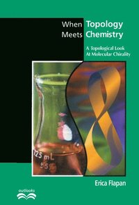 bokomslag When Topology Meets Chemistry