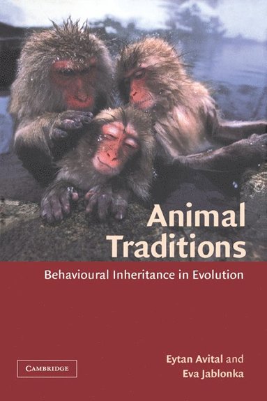 bokomslag Animal Traditions