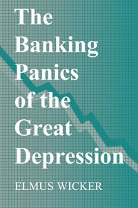 bokomslag The Banking Panics of the Great Depression