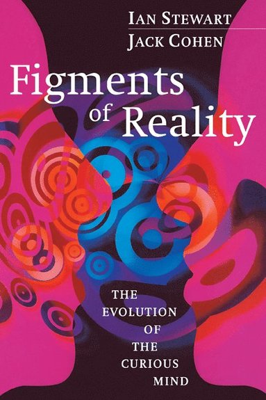 bokomslag Figments of Reality
