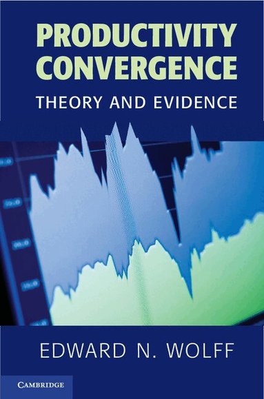 Edward N. Wolff - Productivity Convergence, Häftad