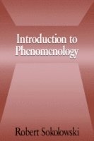 bokomslag Introduction to Phenomenology
