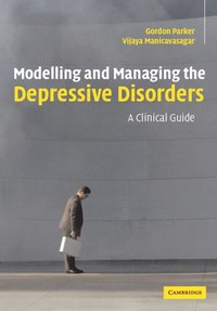 bokomslag Modelling and Managing the Depressive Disorders