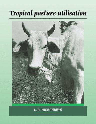 bokomslag Tropical Pasture Utilisation