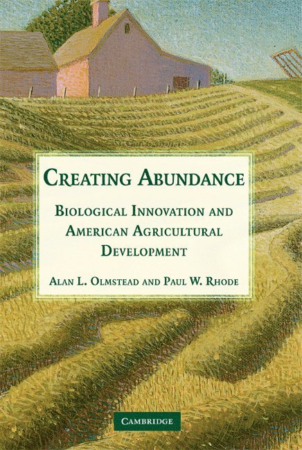 Creating Abundance 1