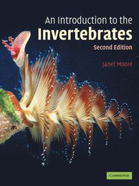 bokomslag An Introduction to the Invertebrates