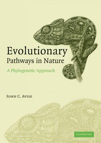 bokomslag Evolutionary Pathways in Nature