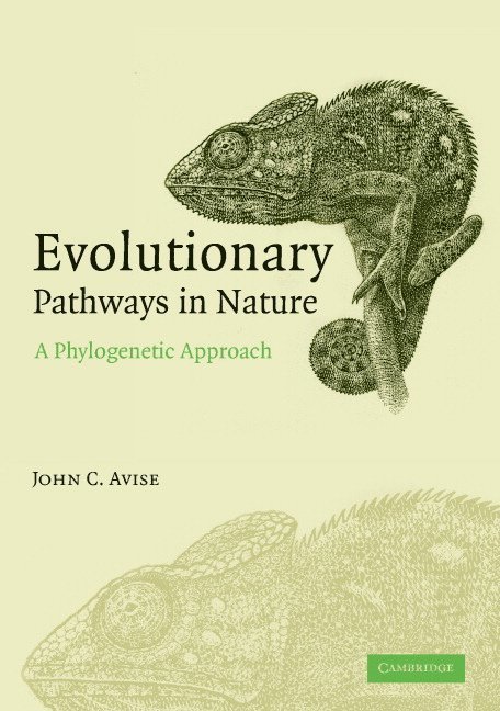 John C. Avise, Irvine) Avise, John C. (University of California - Evolutionary Pathways in Nature, Häftad