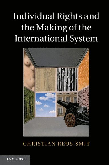 bokomslag Individual Rights and the Making of the International System