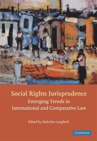 bokomslag Social Rights Jurisprudence