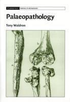bokomslag Palaeopathology