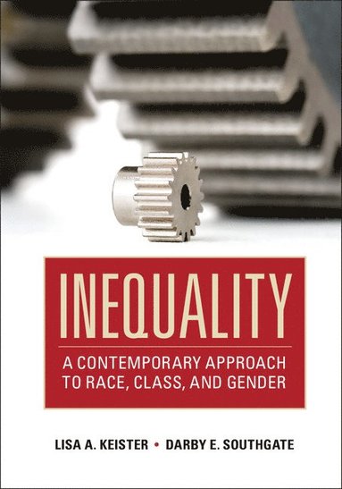 Lisa A. Keister, Darby E. Southgate - Inequality, Häftad