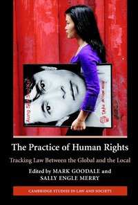 bokomslag The Practice of Human Rights