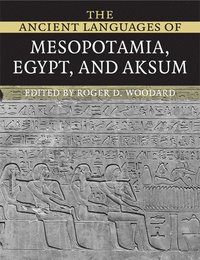 bokomslag The Ancient Languages of Mesopotamia, Egypt and Aksum