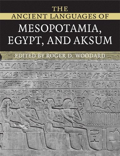 bokomslag The Ancient Languages of Mesopotamia, Egypt and Aksum