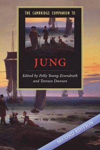 bokomslag The Cambridge Companion to Jung