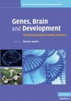 bokomslag Genes, Brain and Development