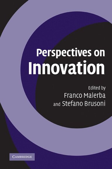 Franco Malerba, Stefano Brusoni - Perspectives on Innovation, Häftad