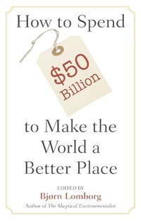 bokomslag How to Spend $50 Billion to Make the World a Better Place