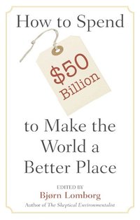 bokomslag Spend $50Billion World Better Place