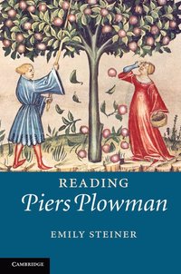 bokomslag Reading Piers Plowman