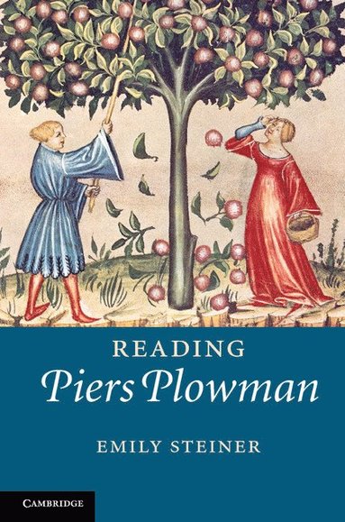 bokomslag Reading Piers Plowman