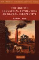 bokomslag The British Industrial Revolution in Global Perspective