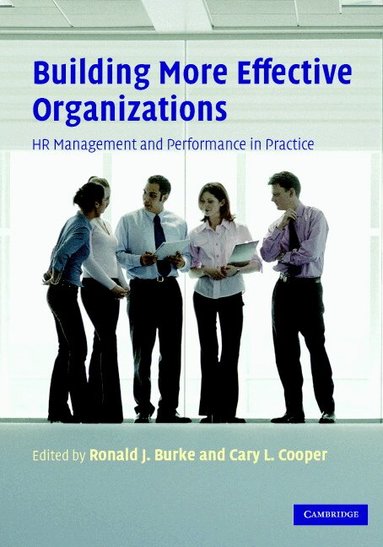 Ronald J. Burke, Cary L. Cooper - Building More Effective Organizations, Häftad