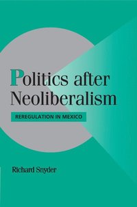 bokomslag Politics after Neoliberalism