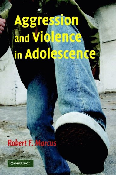 bokomslag Aggression and Violence in Adolescence