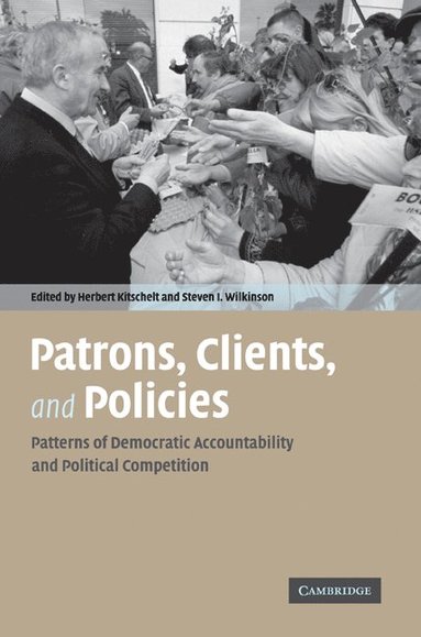 bokomslag Patrons, Clients, and Policies