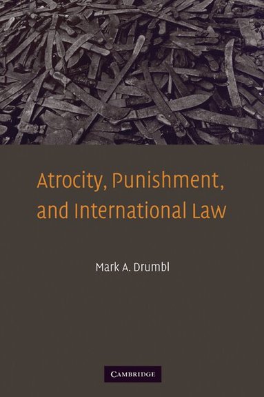 Mark A. Drumbl - Atrocity, Punishment, and International Law, Häftad