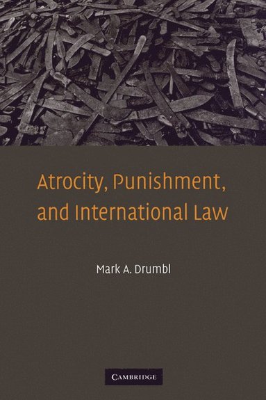 bokomslag Atrocity, Punishment, and International Law