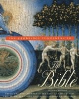 bokomslag The Cambridge Companion to the Bible