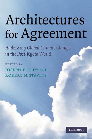 Joseph E. Aldy, Robert N. Stavins - Architectures for Agreement, Häftad