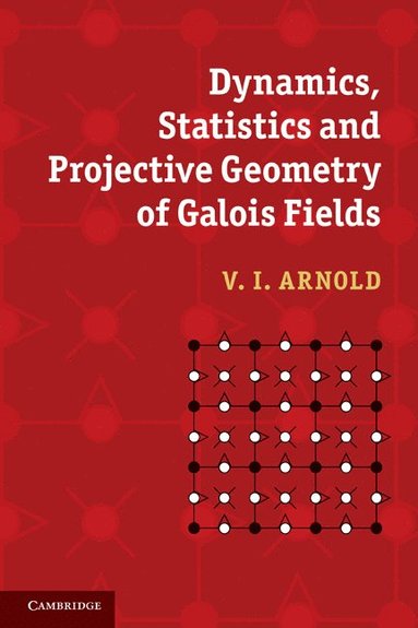 bokomslag Dynamics, Statistics and Projective Geometry of Galois Fields