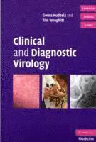 bokomslag Clinical and Diagnostic Virology