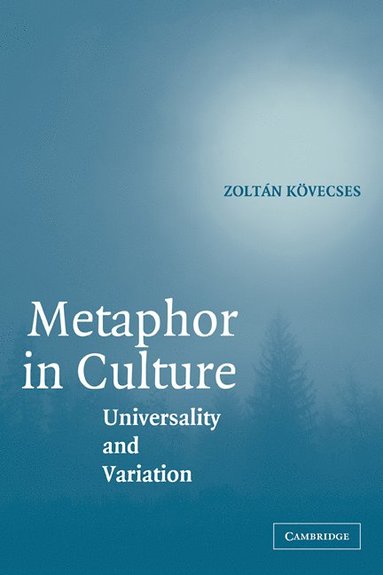 bokomslag Metaphor in Culture