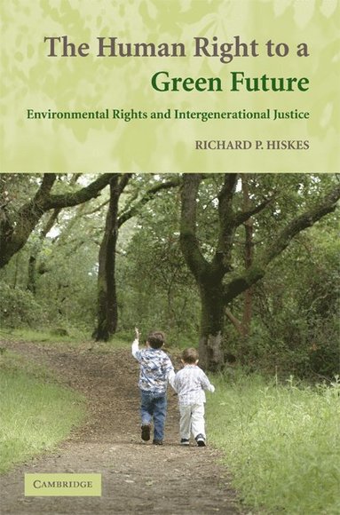 bokomslag Human Right to a Green Future