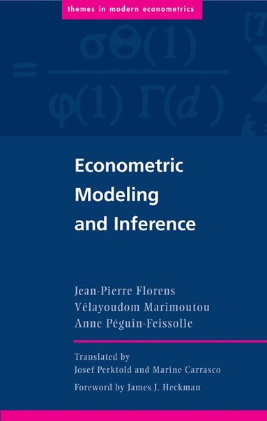 Jean-Pierre Florens, Velayoudom Marimoutou, Anne Peguin-Feissolle - Econometric Modeling and Inference, Häftad