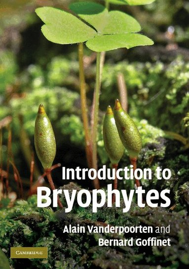 Alain Vanderpoorten, Bernard Goffinet - Introduction to Bryophytes, Häftad