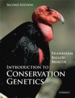 bokomslag Introduction to Conservation Genetics